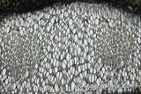 Golden dot lace fabric/black lace fabric/French Lace Fabric/Lingerie Lace Fabric/Lace Dress Fabric/Lace by the yard /FL-10