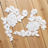 Bridal Lace Applique Pair/Off-white Alencon lace Applique/Boho Wedding Dress Applique/Prom Dress Applique/Luxury Applique/ALA-97